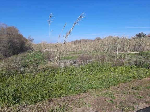 Land plot 3.800 sqm for sale, Chania Prefecture, Nea Kidonia