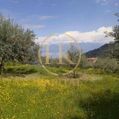Οικόπεδο 1.040 τ.μ. για πώληση