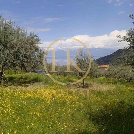 Οικόπεδο 1.040 τ.μ. για πώληση, Κορινθία, Ευρωστίνη