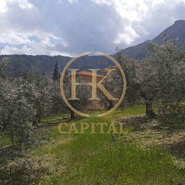 Οικόπεδο 1.040 τ.μ. προς πώληση, Εβροστίνα