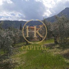 Οικόπεδο 1.040 τ.μ. για πώληση, Κορινθία, Ευρωστίνη-thumb-2