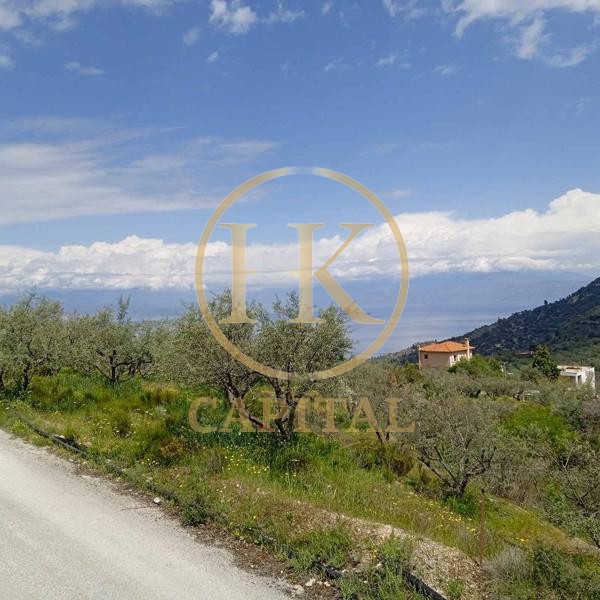 Οικόπεδο 1.040 τ.μ. προς πώληση, Εβροστίνα