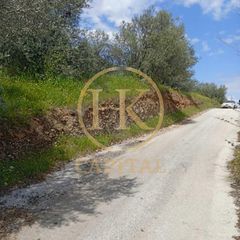 Οικόπεδο 1.040 τ.μ. για πώληση, Κορινθία, Ευρωστίνη-thumb-3