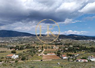 Οικόπεδο 4.125 τ.μ. για πώληση
