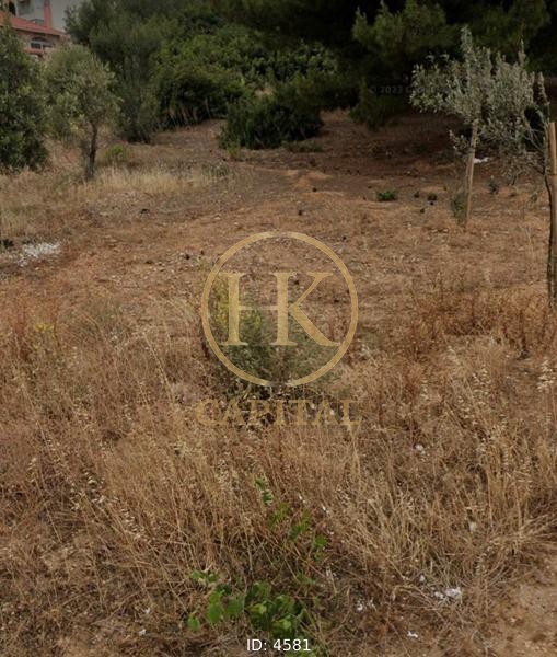 Οικόπεδο 180 τ.μ. προς πώληση, Άγιος Ιωάννης Αρτέμιδας