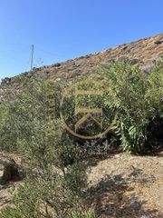 Οικόπεδο 4.050 τ.μ. για πώληση, Κυκλάδες, Άνδρος-thumb-3