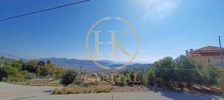 Land plot 1.035 sqm for sale