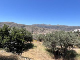 Οικόπεδο 4.290 τ.μ. για πώληση, Κυκλάδες, Άνδρος-thumb-5