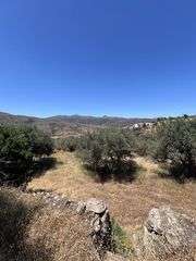 Οικόπεδο 4.290 τ.μ. για πώληση, Κυκλάδες, Άνδρος-thumb-6