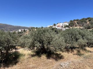 Οικόπεδο 4.290 τ.μ. για πώληση, Κυκλάδες, Άνδρος-thumb-8