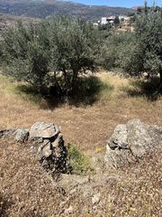 Οικόπεδο 4.290 τ.μ. για πώληση, Κυκλάδες, Άνδρος-thumb-7