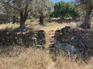 Οικόπεδο 4.290 τ.μ. για πώληση, Κυκλάδες, Άνδρος-thumb-4