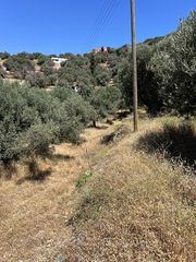 Οικόπεδο 4.290 τ.μ. για πώληση, Κυκλάδες, Άνδρος-thumb-3