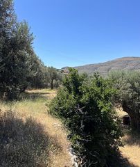 Οικόπεδο 4.290 τ.μ. για πώληση