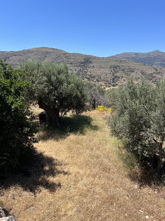 Οικόπεδο 4.290 τ.μ. προς πώληση, Κόρθιο