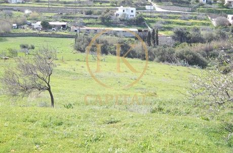 Οικόπεδο 13.200 τ.μ. προς πώληση