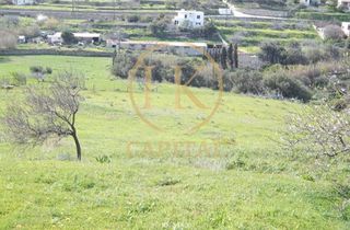 Οικόπεδο 13.200 τ.μ. για πώληση