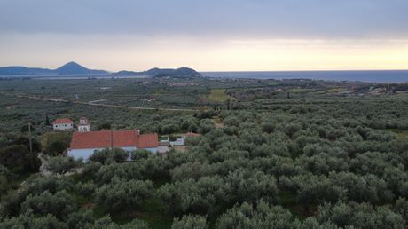 Οικόπεδο 11.773 τ.μ. προς πώληση