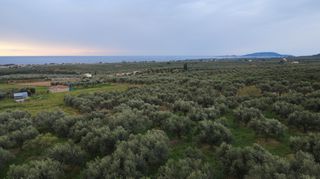 Οικόπεδο 11.773 τ.μ. προς πώληση, Τραγάνα Γαργαλιάνων-thumb-1