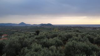 Οικόπεδο 11.773 τ.μ. προς πώληση, Τραγάνα Γαργαλιάνων-thumb-2