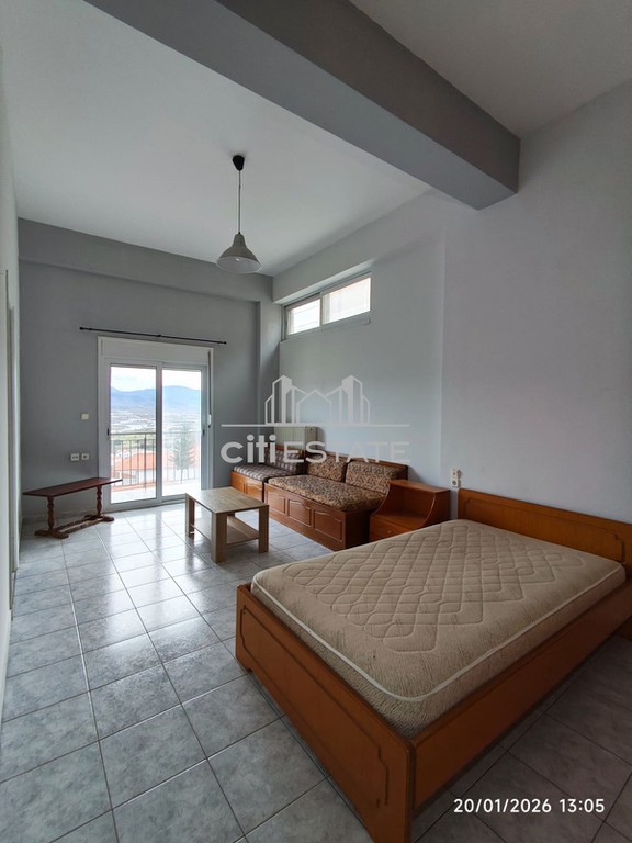 Studio / γκαρσονιέρα 35 τ.μ. πρός ενοικίαση, Ν. Ιωαννίνων, Ιωάννινα