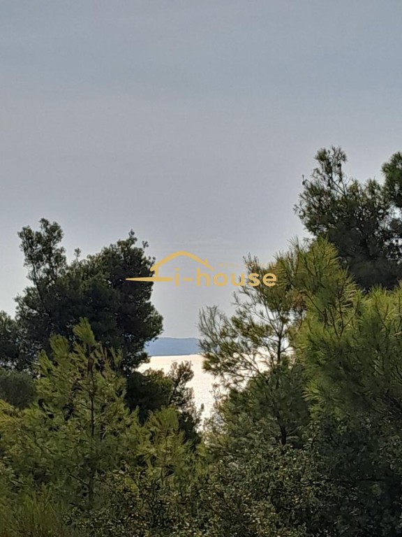 Αγροτεμάχια 5.870 τ.μ. προς πώληση, Καλάνδρα