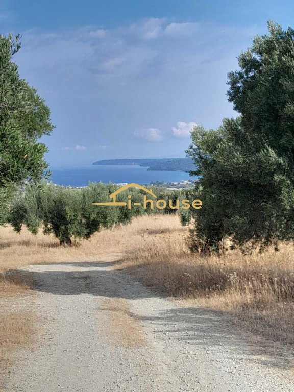 Αγροτεμάχια 5.870 τ.μ. προς πώληση, Καλάνδρα