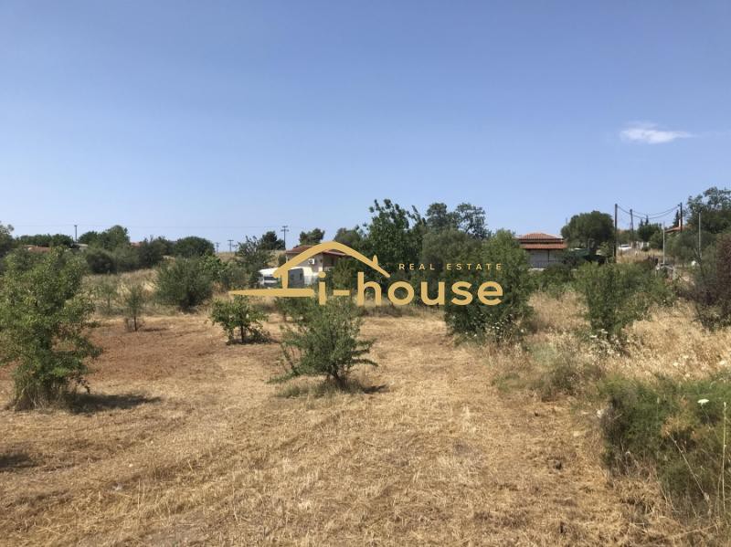 Οικόπεδο 1.100 τ.μ. προς πώληση, Νέα Καλλικράτεια