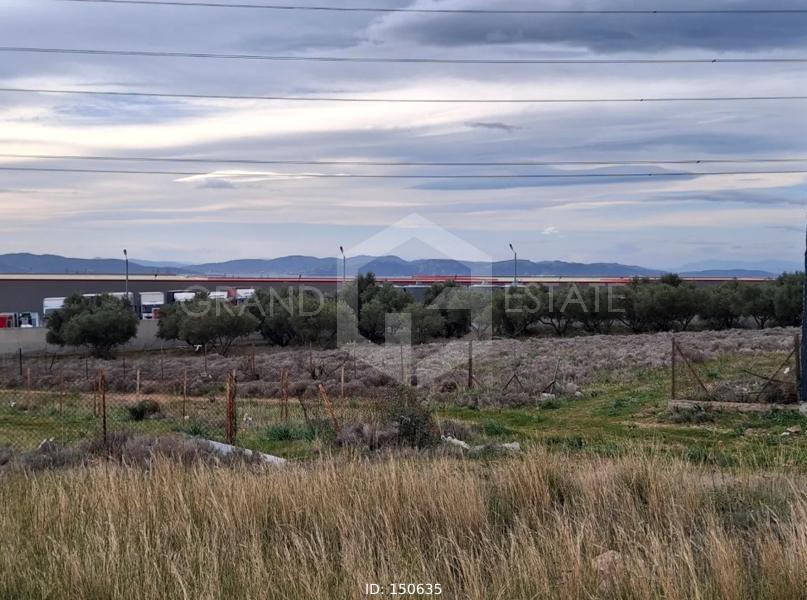 Οικόπεδο 6.000 τ.μ. προς ενοικίαση, Αττική - Υπόλοιπο, Ασπρόπυργος