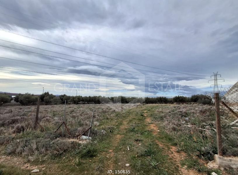 Οικόπεδο 6.000 τ.μ. προς ενοικίαση, Αττική - Υπόλοιπο, Ασπρόπυργος