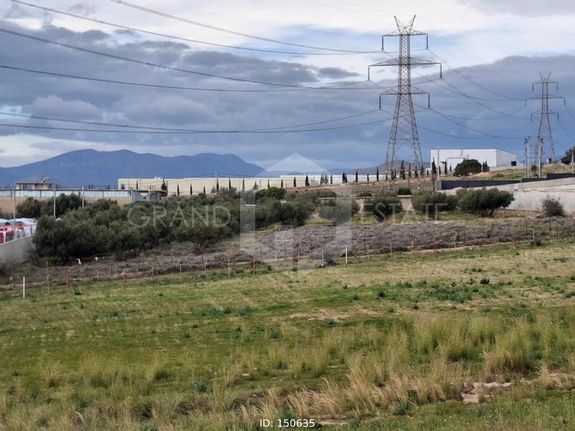 Οικόπεδο 6.000 τ.μ. για ενοικίαση, Αττική - Υπόλοιπο, Ασπρόπυργος