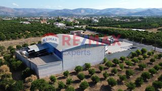 Κατάστημα 600 τ.μ. για πώληση, Αργολίδα, Μιδέα-thumb-4