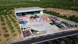 Κατάστημα 600 τ.μ. για πώληση, Αργολίδα, Μιδέα-thumb-11