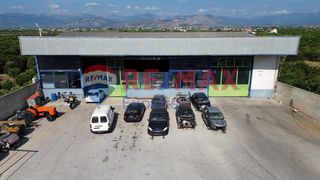 Κατάστημα 600 τ.μ. για πώληση, Αργολίδα, Μιδέα-thumb-13