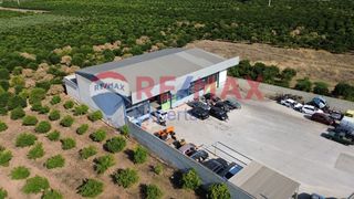 Κατάστημα 600 τ.μ. για πώληση, Αργολίδα, Μιδέα-thumb-5