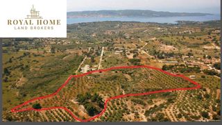 Οικόπεδο 40.000 τ.μ. για πώληση