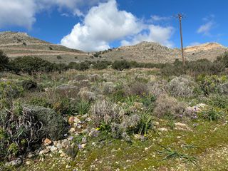 Αγροτεμάχια 8.300 τ.μ. για πώληση