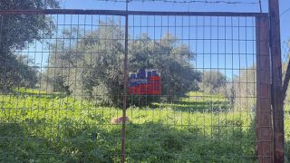 Αγροτεμάχια 8.630 τ.μ. για πώληση