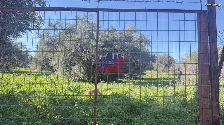 Αγροτεμάχια 8.630 τ.μ. για πώληση, Αχαΐα, Αίγιο
