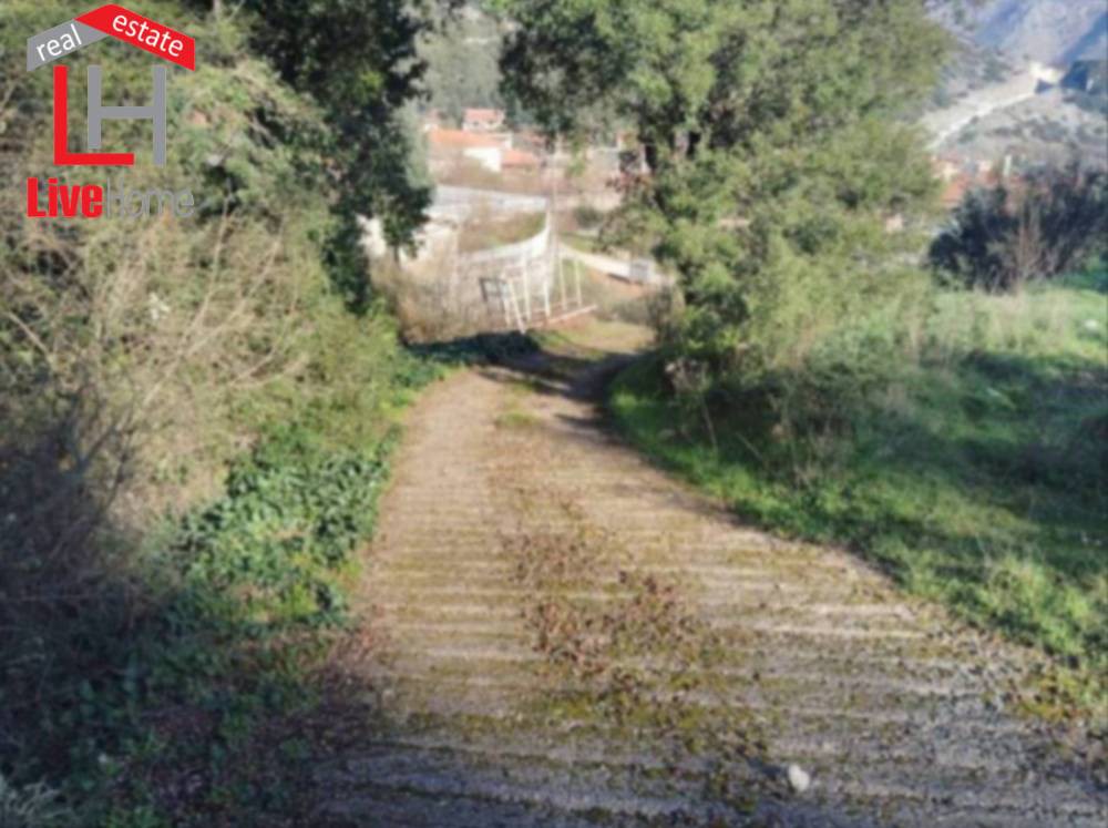 Οικόπεδο 1.529 τ.μ. πρός πώληση, Κορινθία, Στυμφαλία
