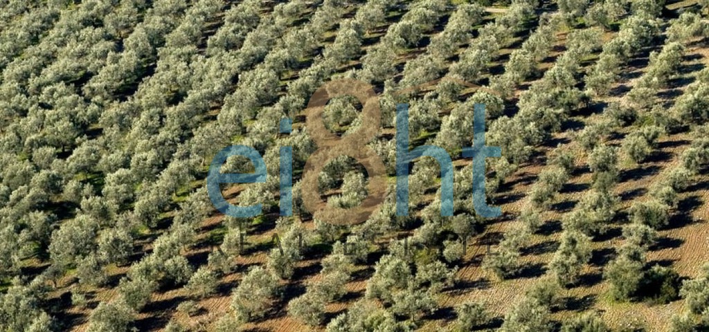 Αγροτεμάχια 120.000 τ.μ. πρός πώληση, Χαλκιδική, Πολύγυρος