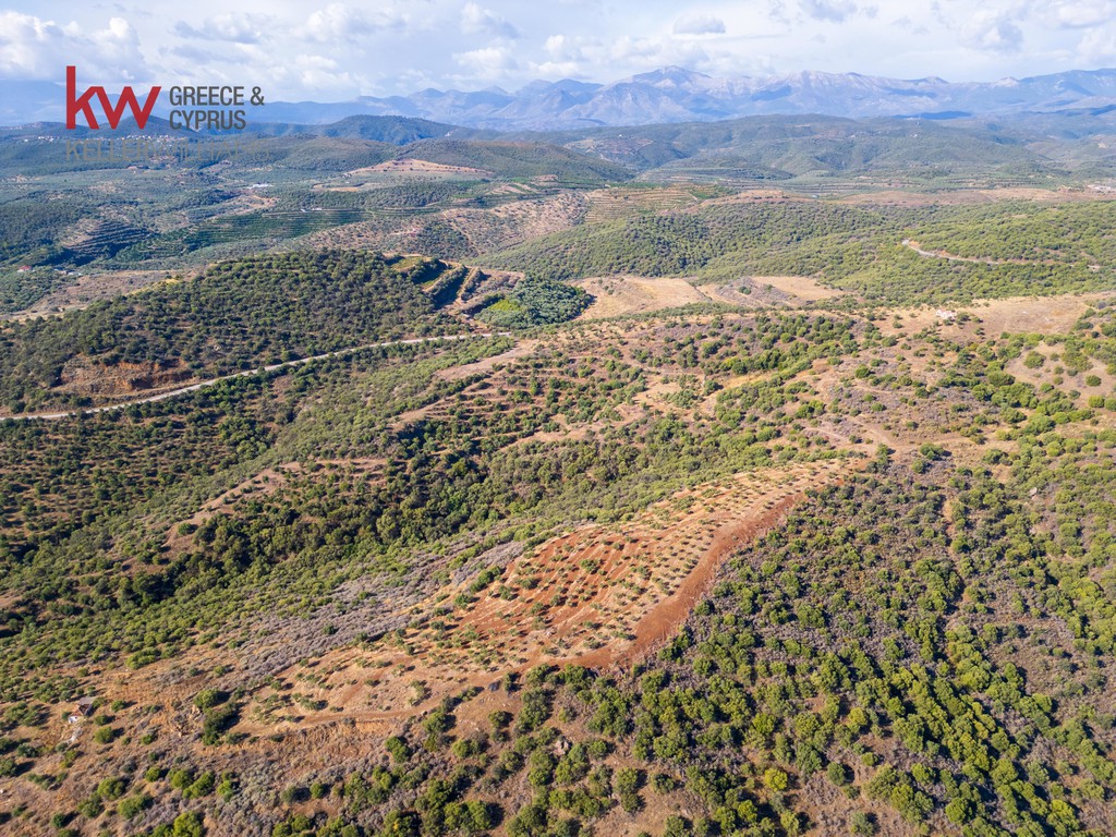 Οικόπεδο 536.426 τ.μ. προς πώληση, Στεφανιά Σκάλας