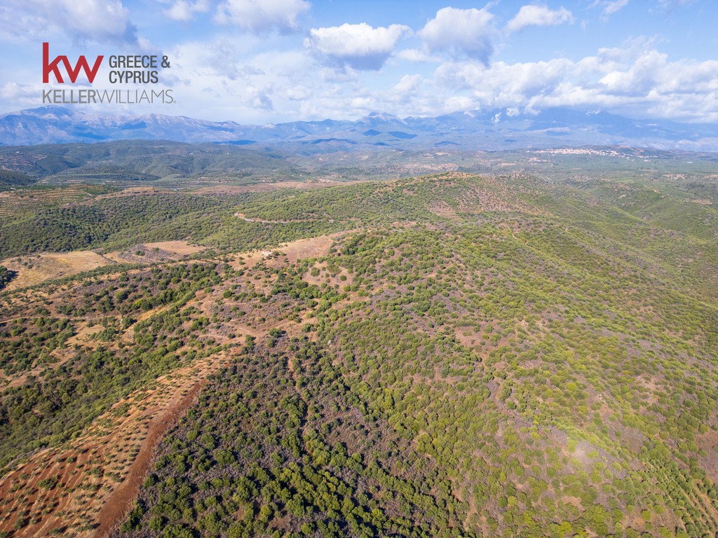 Οικόπεδο 536.426 τ.μ. προς πώληση, Στεφανιά Σκάλας