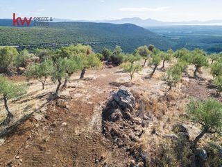 Οικόπεδο 536.426 τ.μ. για πώληση