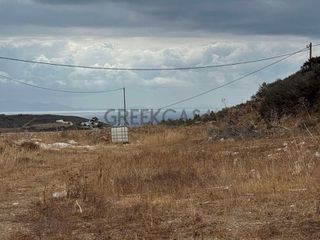 Αγροτεμάχια 7.500 τ.μ. για πώληση