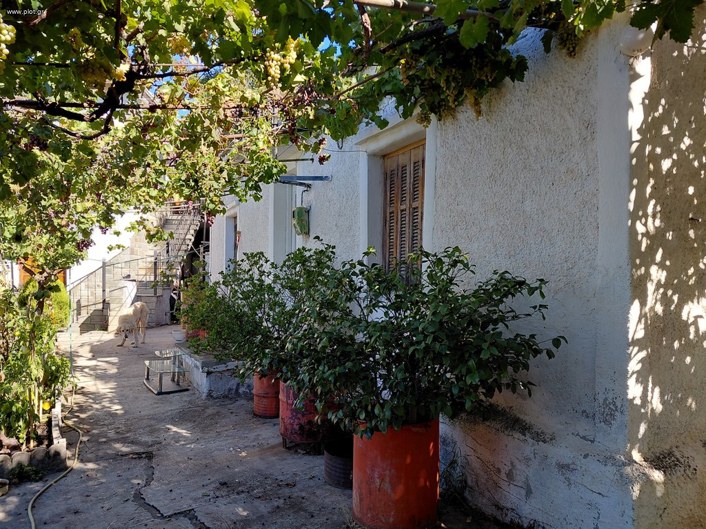 Μονοκατοικία 70 τ.μ. πρός πώληση, Μαγνησία, Πορταριά