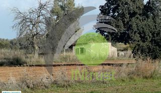 Αγροτεμάχια 2.233 τ.μ. για πώληση