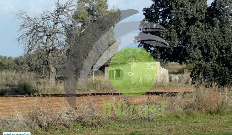 Parcel 2.233 sqm for sale, Achaia, Movri