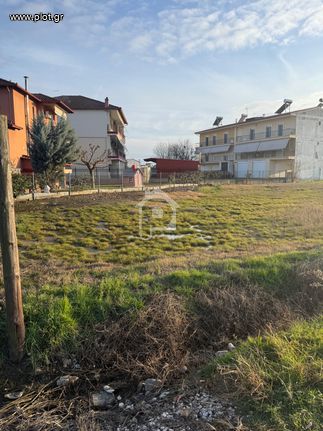 Οικόπεδο 330 τ.μ. για πώληση, Ημαθία, Αλεξάνδρεια