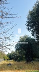 Οικόπεδο 655 τ.μ. για πώληση